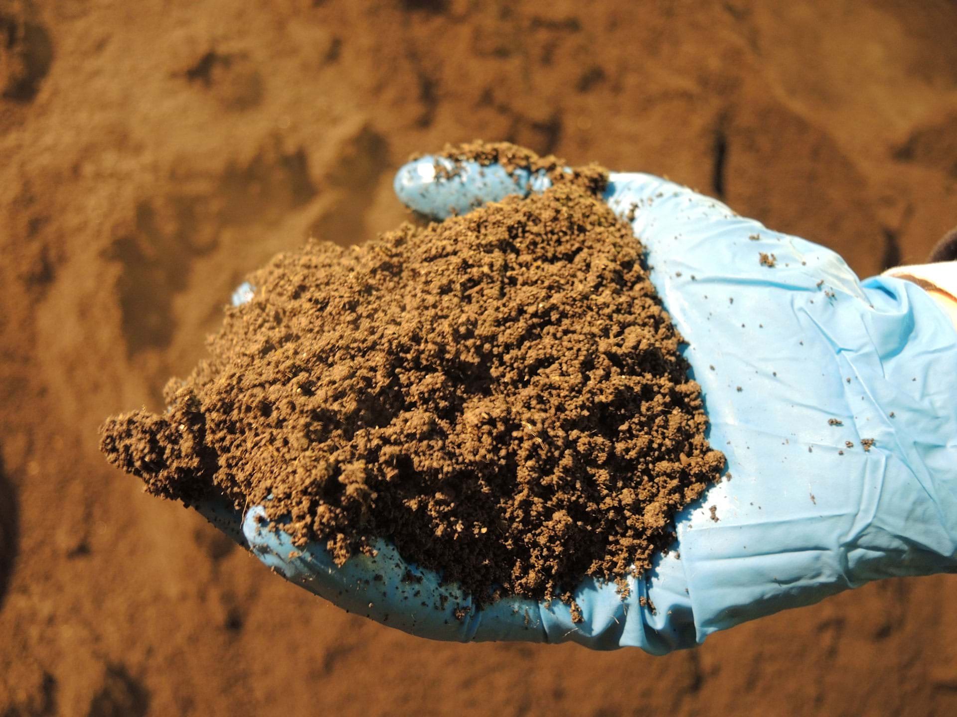 Edinburgh Seafield Cambi